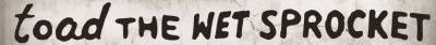 logo Toad the Wet Sprocket